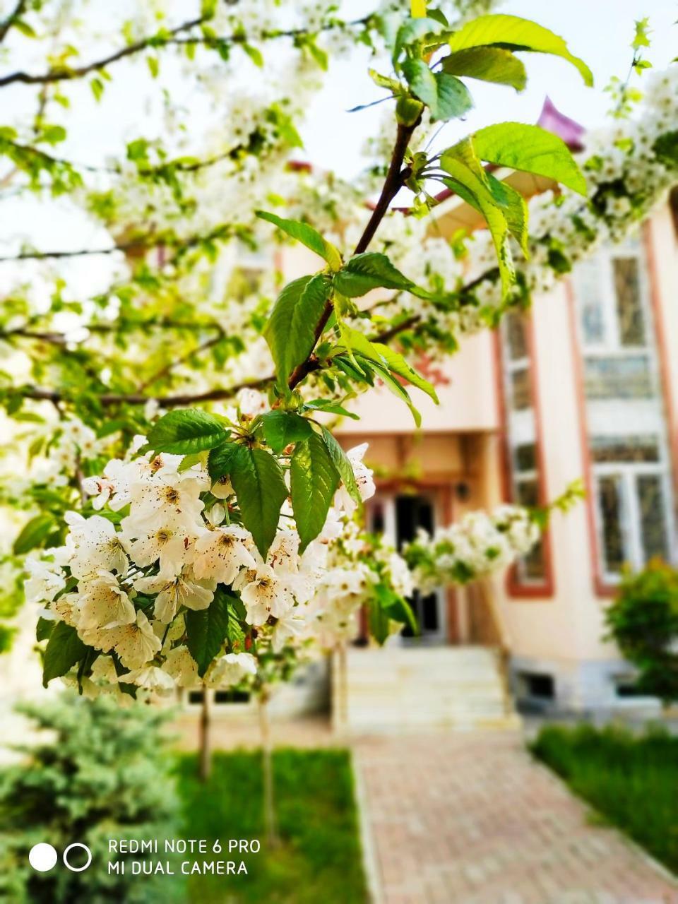 Rakat Inn Navigator Ташкент Экстерьер фото