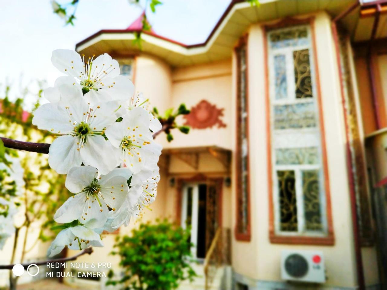 Rakat Inn Navigator Ташкент Экстерьер фото
